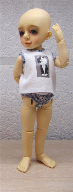 Давайте познакомимся - Пашка! Impldoll, Evan (фото 4)