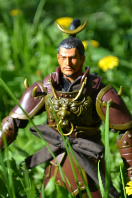 Двое из Пяти Тигров Шу (五虎将): Ма Чао и Хуан Жонг