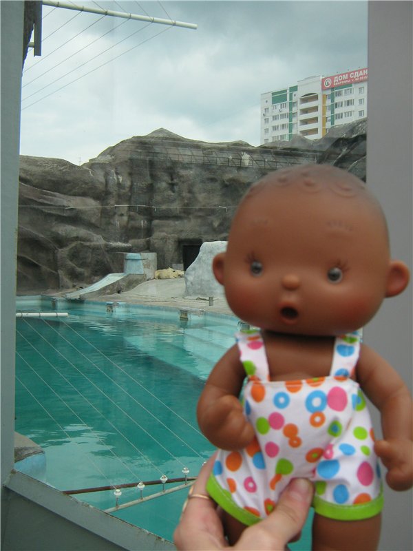 Пупсы Nines Artesanal D'Onil в Ижевском зоопарке (фото 10)