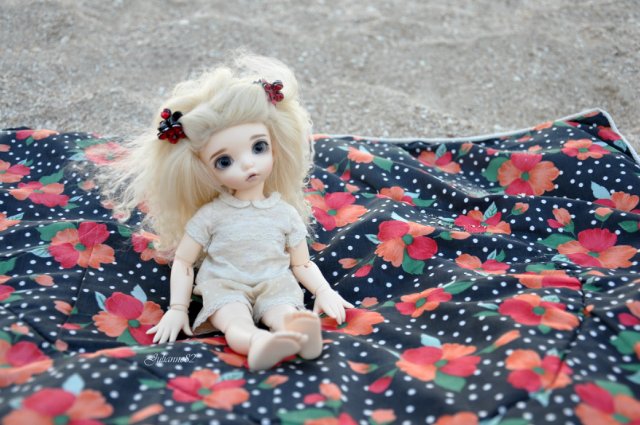 А...МОРЭ...МОРЭ...!!! Littlefee Bisou (Герда) на отдыхе