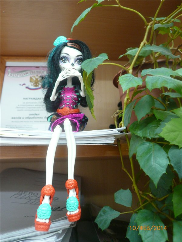 Skelita Calaveras наша новая монстряшка Monster High (фото 8)
