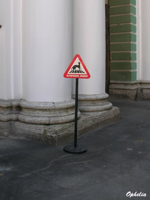 «Мяу» особого назначения или Весенняя кошкотерапия (фото 2)