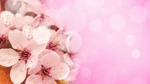 Весна.... как много в этом слове