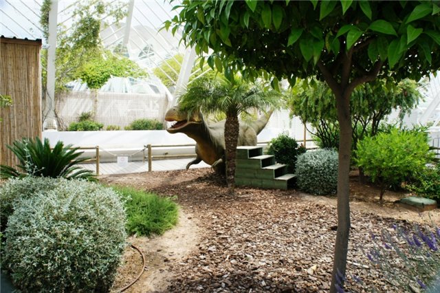 Испанские рассказы. Часть 4. Среди динозавров (Город Искусств и Науки в Валенсии) (фото 3)