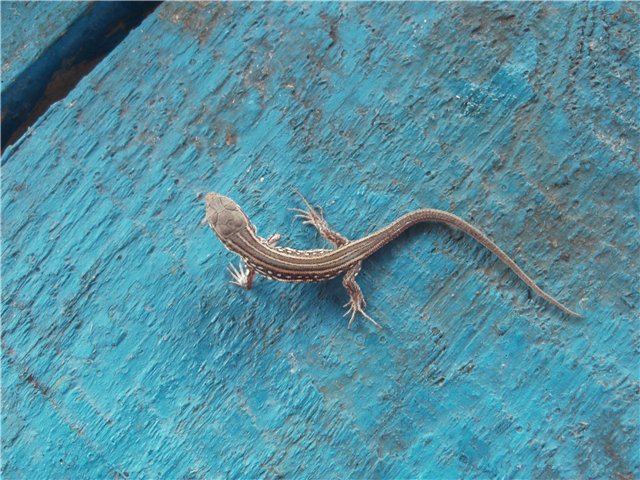 Красота родной Башкирии — Туризм и путешествия: фотоотчеты из поездок