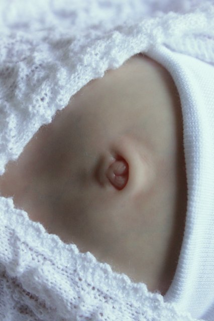 Розана - цветочек, роза... Куколка реборн Виктории Вишни