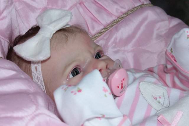 Кто сказал что Я последняя? Кукла реборн Беспаловои Жанны