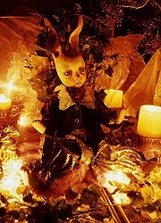 куклы Mari Shimizu dolls