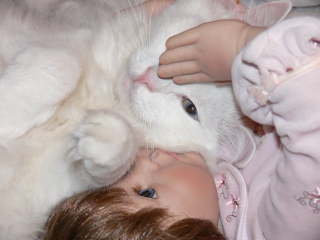 Интересно, кто кого больше любит