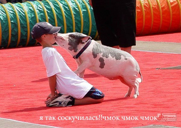 День дурака или день смеха! Вы готовы шутить и смеяться