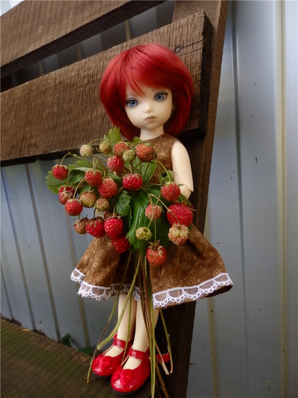 Лесная сказка или Варварка на Нугуше (фото 10)