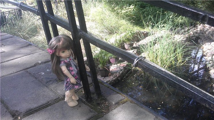 Маленький парк — Куклы Dollzone (Доллзон): BJD (БЖД)