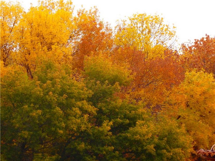 Хорошо быть маленькой | Бэйбики Хорошо быть маленькой — Куклы Iplehouse (Иплхаус): BJD (БЖД) (фото 2)