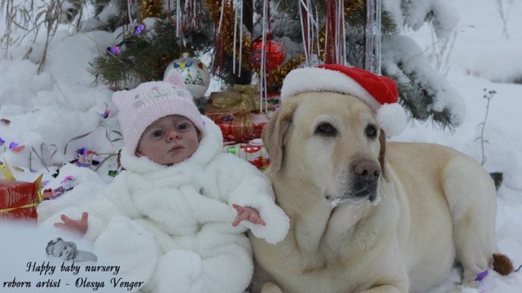 Моё предновогоднее чудо, моя Карлотта. Кукла реборн Олеси Венгер