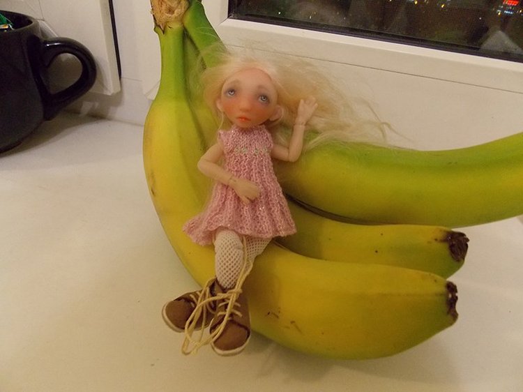 Путь к мечте | Бэйбики Путь к мечте — Авторские работы в частных коллекциях: домашние фото кукол и игрушек