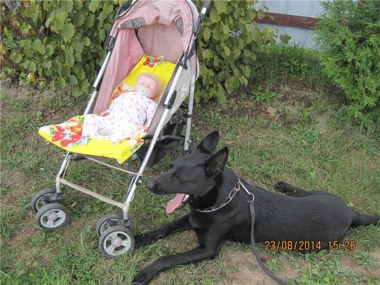 По мотивам "Варежки" — Другие хобби и увлечения: сад (фото 8)