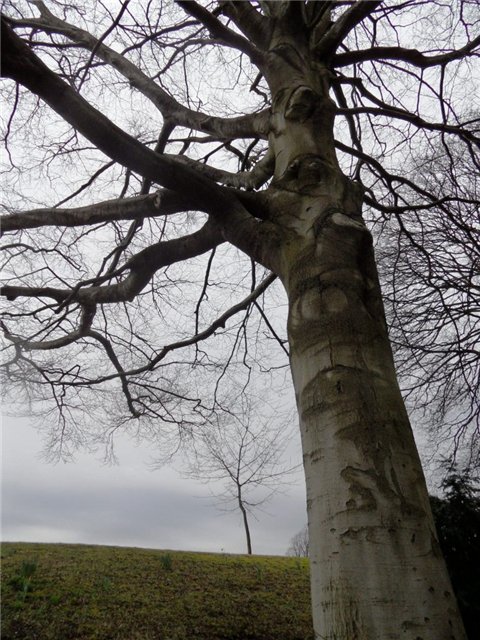 Рут, Эстер и шоколадная фабрика. Cadbury World, Bournville