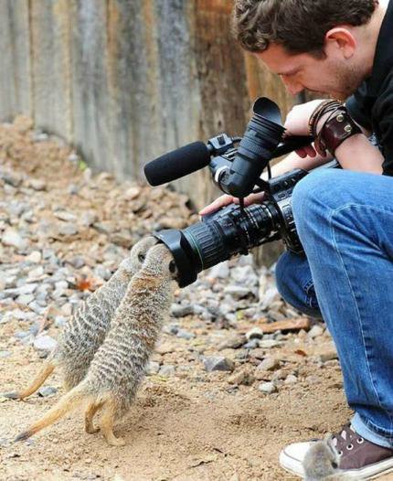 Как прекрасен этот мир, посмотри... "Хороший фотограф тот, кто сумеет выстроить на одной оси глаз, голову и сердце"