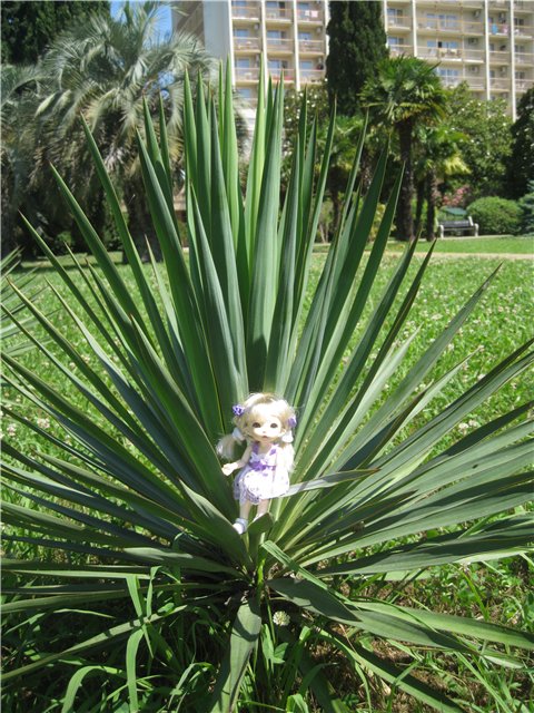 Летний отдых на море БЖДешечки Элис (фото 7)