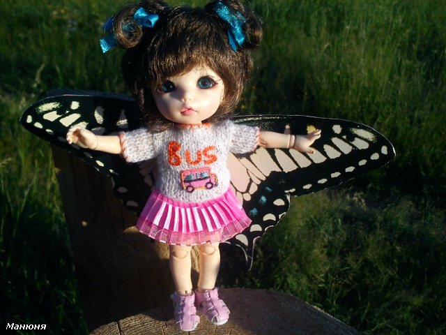 Манюнькино лето-3 (Повелительница Ветров). PukiFee Ante (фото 2)