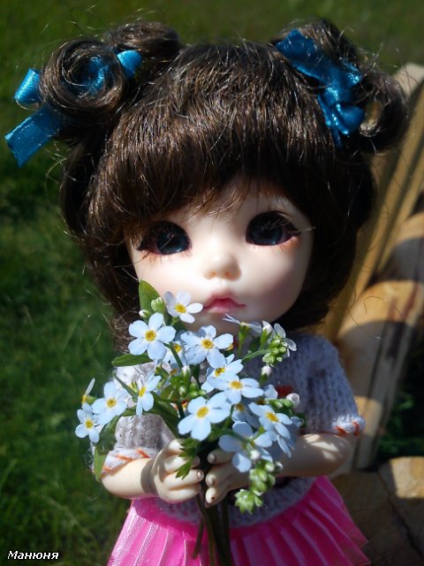 Манюнькино лето-2 (Полевые цветы) PukiFee Ante (фото 5)