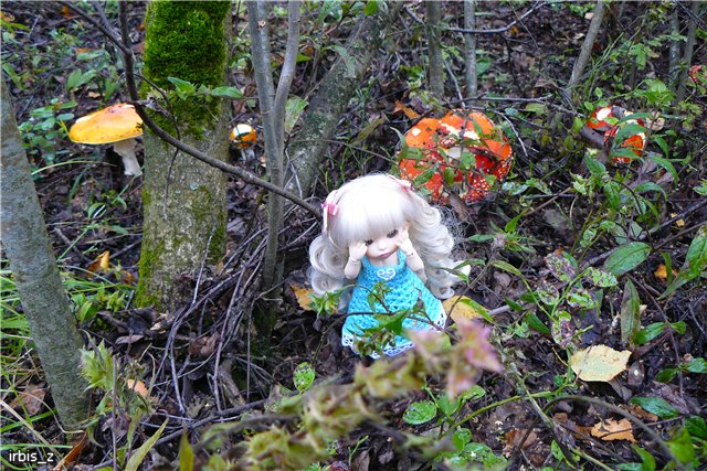 Осенняя сказка. Часть 3(заключительная). PukiFee Ante Ариэтти, PukiFee Bonnie Ариэль | Бэйбики Осенняя сказка. Часть 3(заключительная). PukiFee Ante Ариэтти, PukiFee Bonnie Ариэль (фото 6)