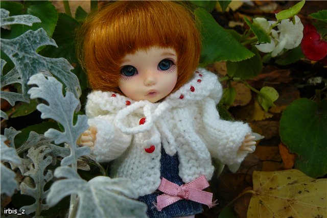 Вот так погуляли или Как у нас появилась кукла БЖД LittleFee Ante Elf (фото 5)