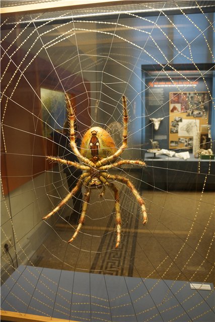 Взятие Берлина. Часть 3. Аква-дом, Улыбка бегемота и Прототип куколок Шильдкрот