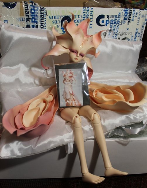 Первый Весенний Цветок! Anson, Dollzone (фото 5)