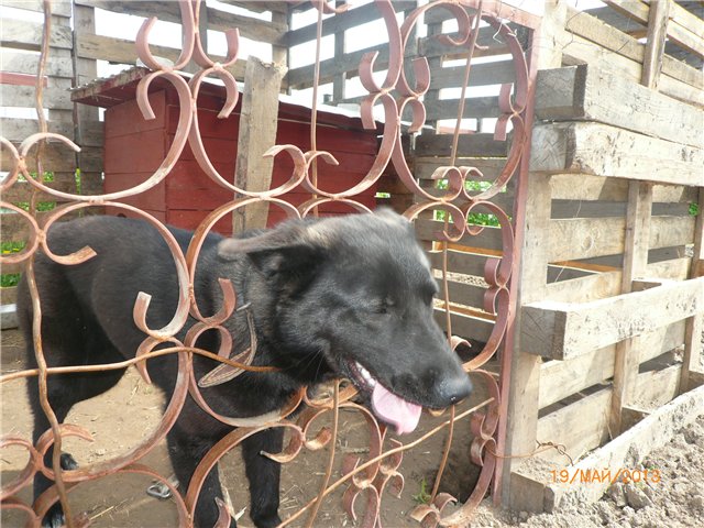 Розочка! Встреча сестренок