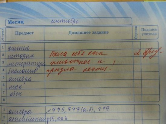 О веселом! Шедевры школьных дневников) Осторожно! очень смешно)