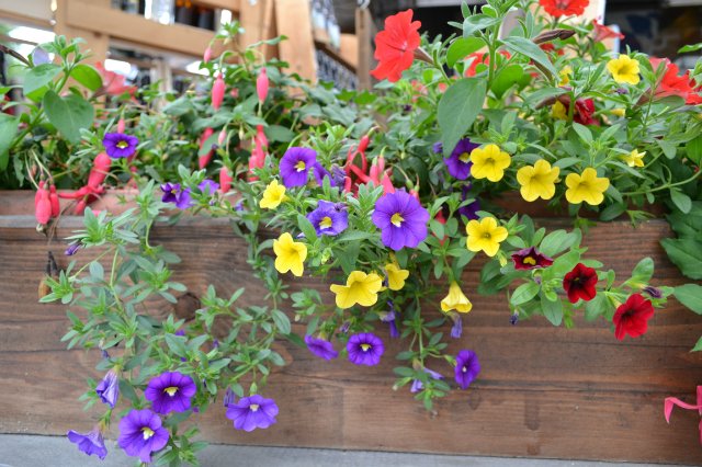 Опять хочу - нет не в Париж, а в Баварию