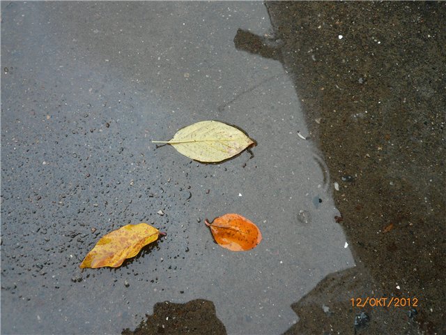 Дождик, Дождик, веселей, капай, капай не жалей ;) (фото 2)