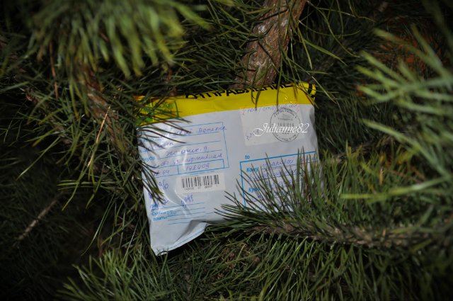 Нежданный подарочек к Новому Году