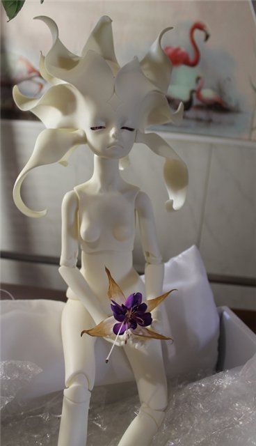 Новые Цветочки, у меня в Садочке! Anson Fairies, Dollzone (фото 6)