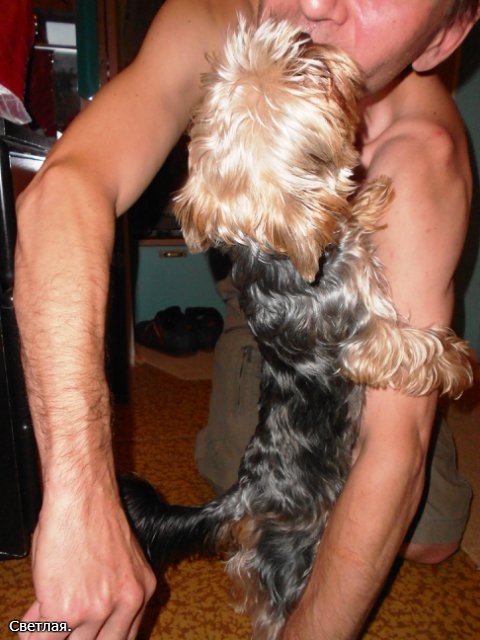 Спасибо нашим мужьям!!! Любим Вас, благодарны Вам... Мы счастливы, что Вы с нами | Бэйбики Спасибо нашим мужьям!!! Любим Вас, благодарны Вам... Мы счастливы, что Вы с нами