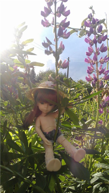 Немного лета в холода — Куклы Dollzone (Доллзон): BJD (БЖД) (фото 7)