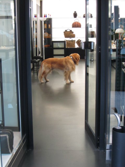 "Моя Италия". Часть 3 - Виареджо, Лукка, Пиза