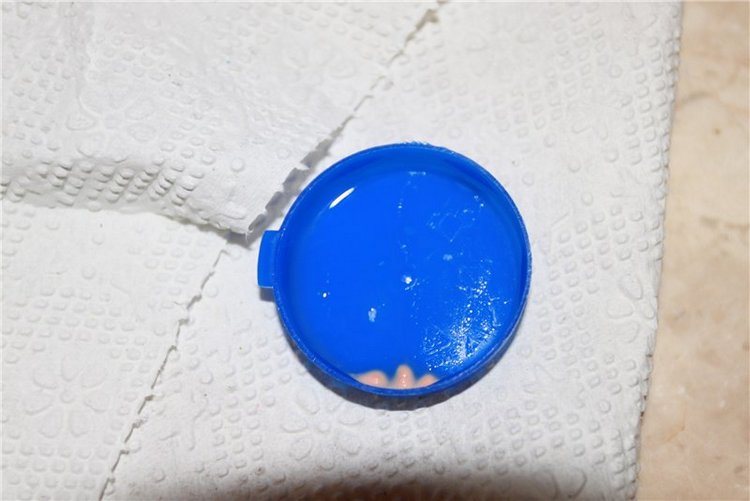 Вылеченная Черепашка - первая винтажка, Schildkröt, 1950-е, целлулоид, Германия (фото 4)