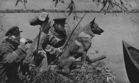 Неизвестная война. Собаки Победы (фото 10)