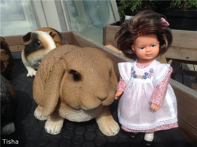 Маленькие садовники или весна в Аптекарском огороде