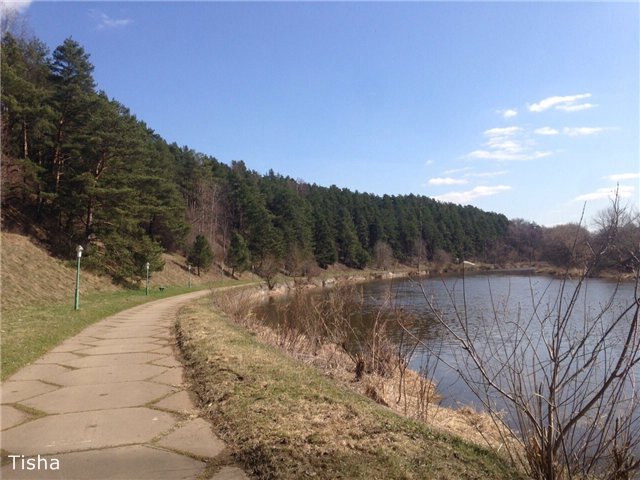 Моя новенькая Рыжулька Tulah от Helen Kish