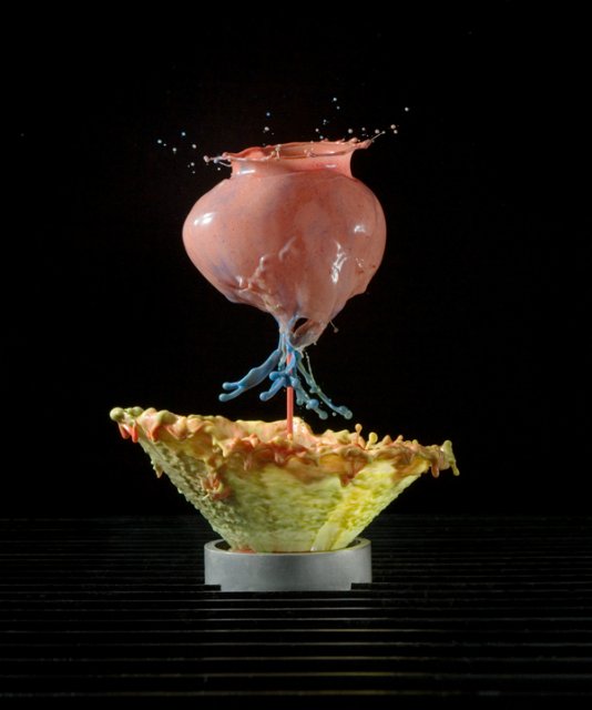 Капелька2 -ВСПЛЕСК- американский фотограф Джек Лонг | Бэйбики Капелька2 -ВСПЛЕСК- американский фотограф Джек Лонг