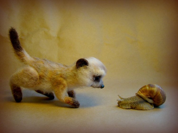 Сурикат. Авторская игрушка валянием из шерсти Ольги Чернухо (фото 2)