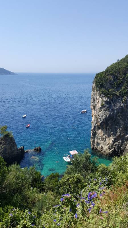 Новое путешествие Панг-Панга