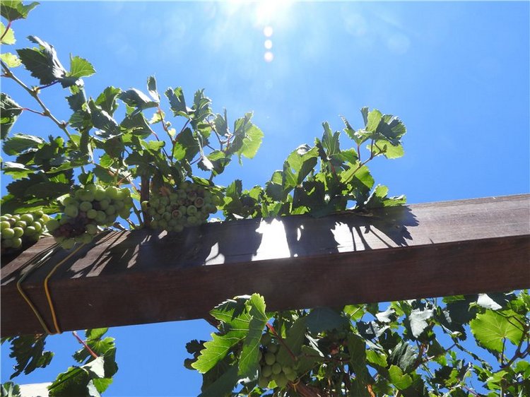 Греция, Крит, путешествие Светланки