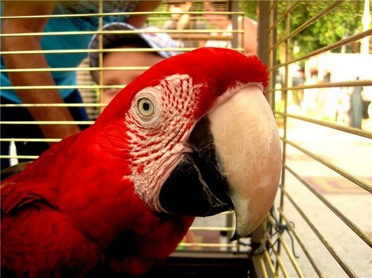 Лето. Солнце. Море. Всё смешалось - звери, куклы. Часть2 | Бэйбики Лето. Солнце. Море. Всё смешалось - звери, куклы. Часть2