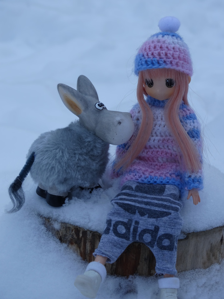 Банни и её ослик — Аниме куклы (MJD/Винил): Imomo (фото 4)