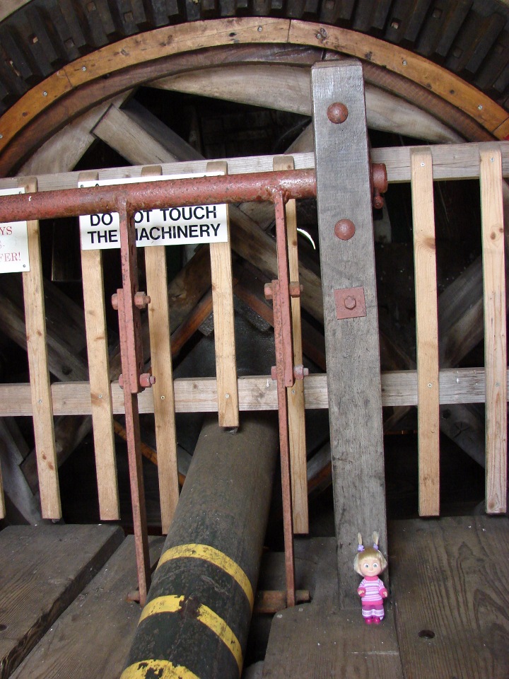 Как Пенни и Машка мельницу осматривали