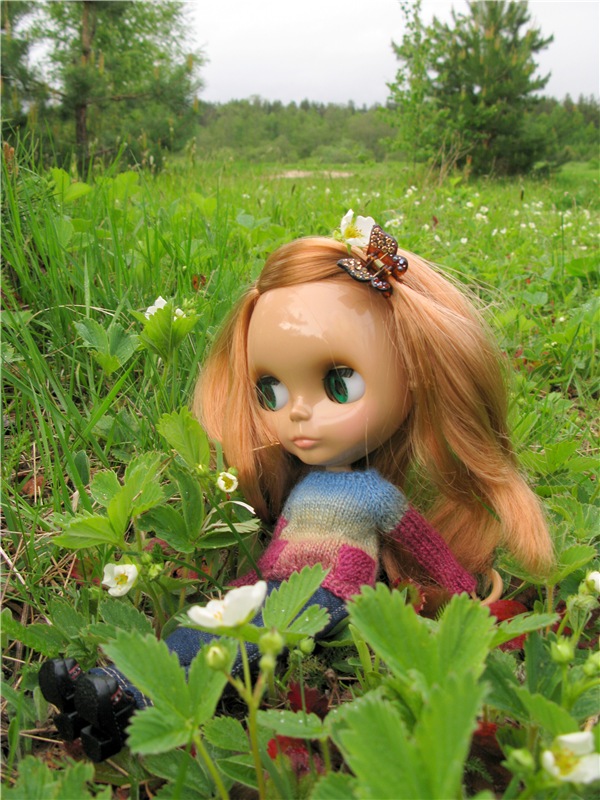 Блайзочки на природе — Оригинальные куклы Blythe (Блайз): Takara